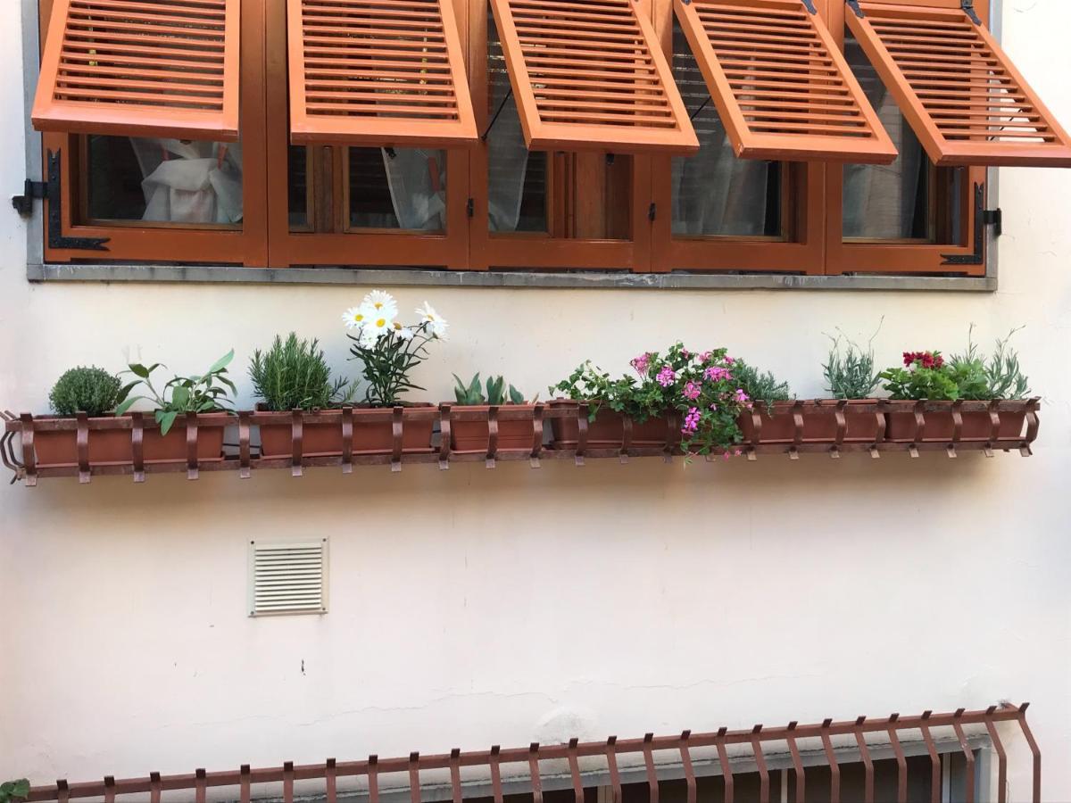 La Casa Fra Gli Ulivi Leilighet Lerici Eksteriør bilde